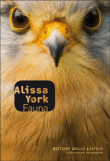 Fauna