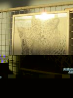 Photo Dessins au crayon